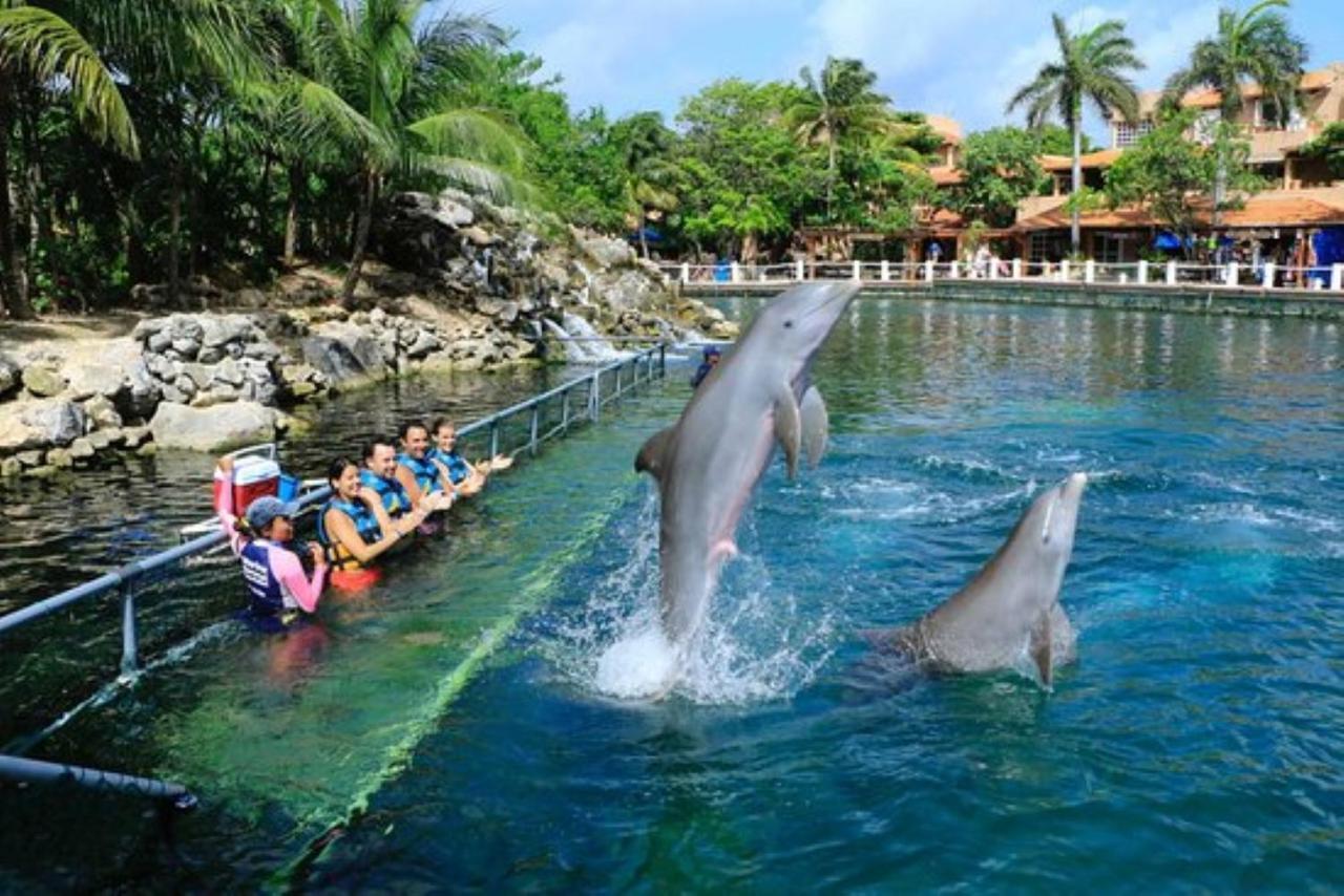 Increible Estudio En Puerto Aventuras, Condominio Con Alberca # 201 外观 照片